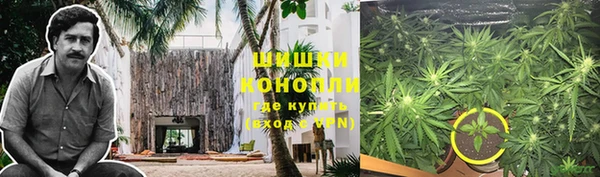 spice Алексин