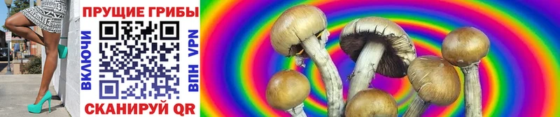 Галлюциногенные грибы мицелий  Чистополь 