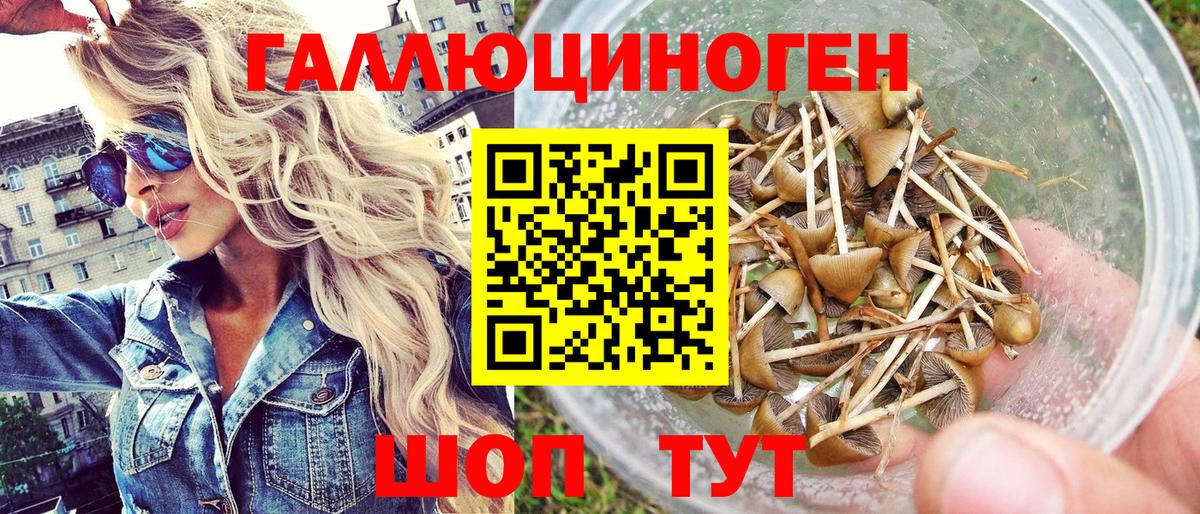 Галлюциногенные грибы ЛСД Чистополь